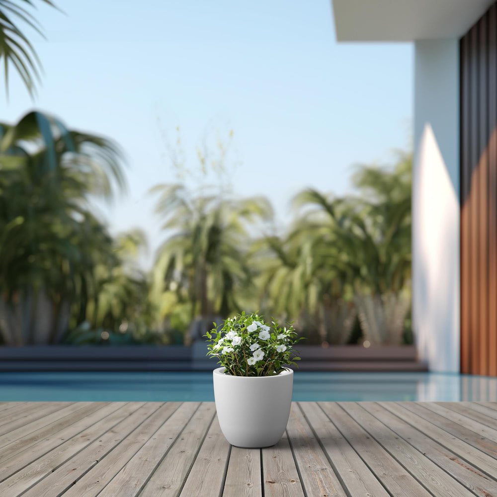 Kante small concrete planter with plants