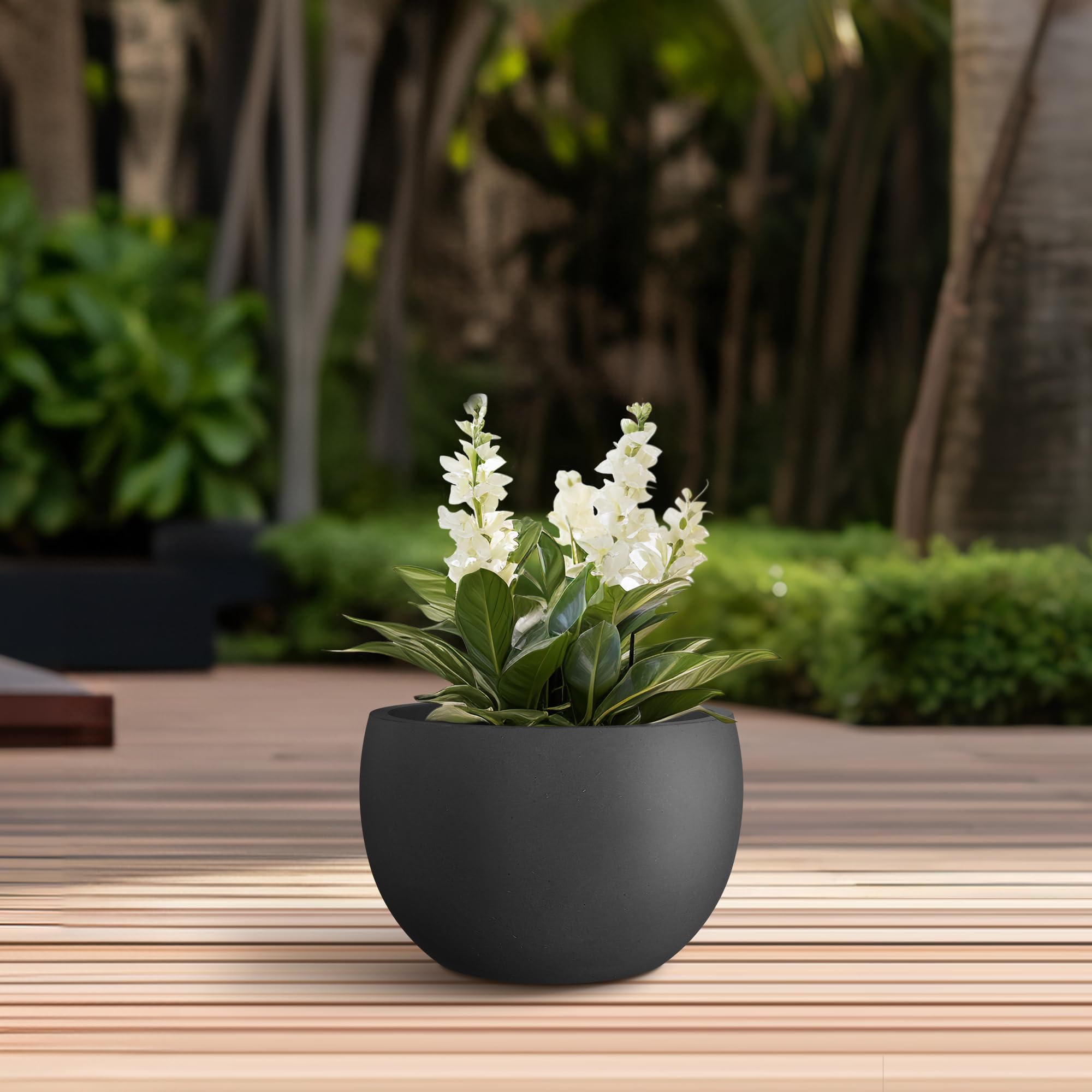 Kante Small Round Black Concrete Planter in outdoor setting
