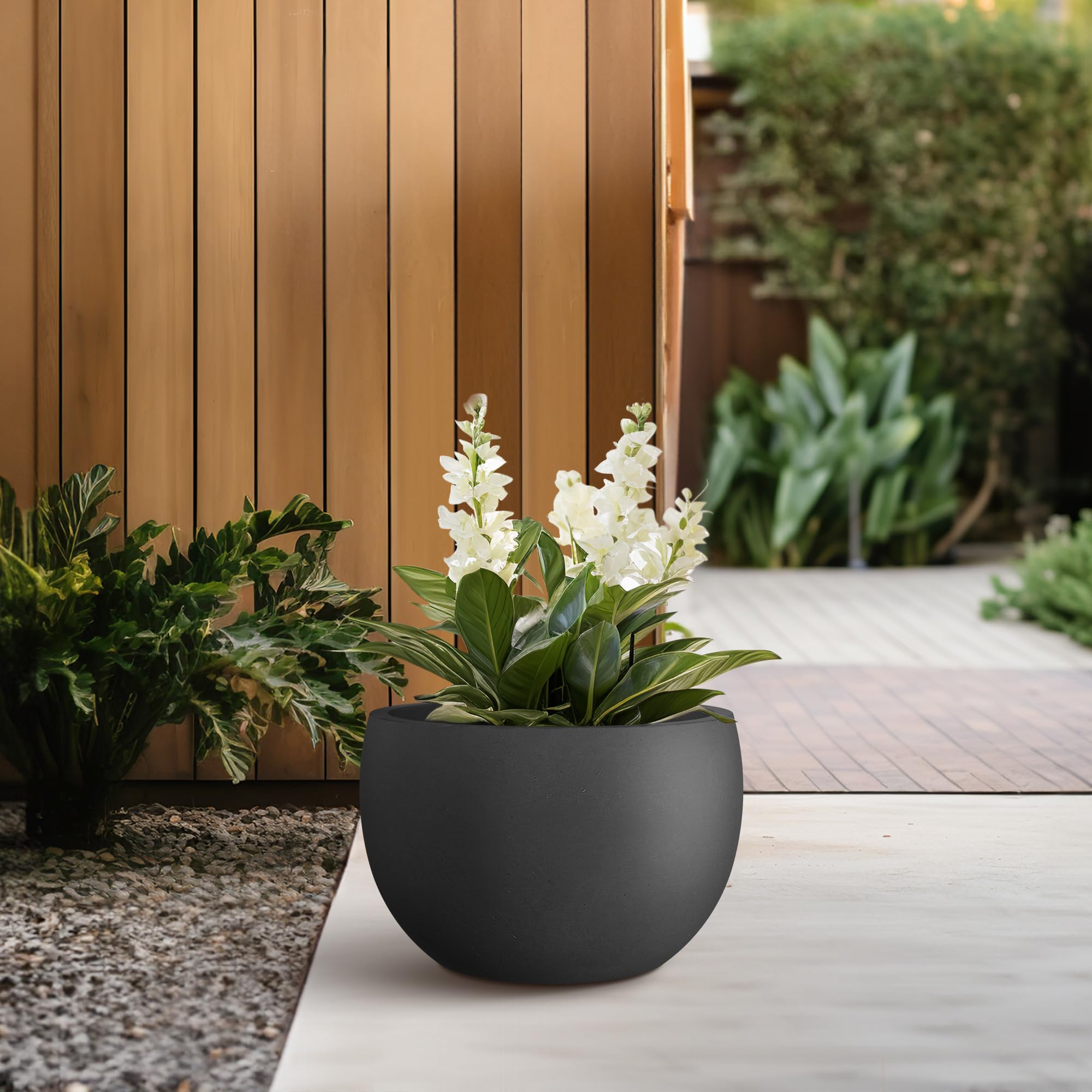 Kante Small Round Black Concrete Planter showcasing succulent plants
