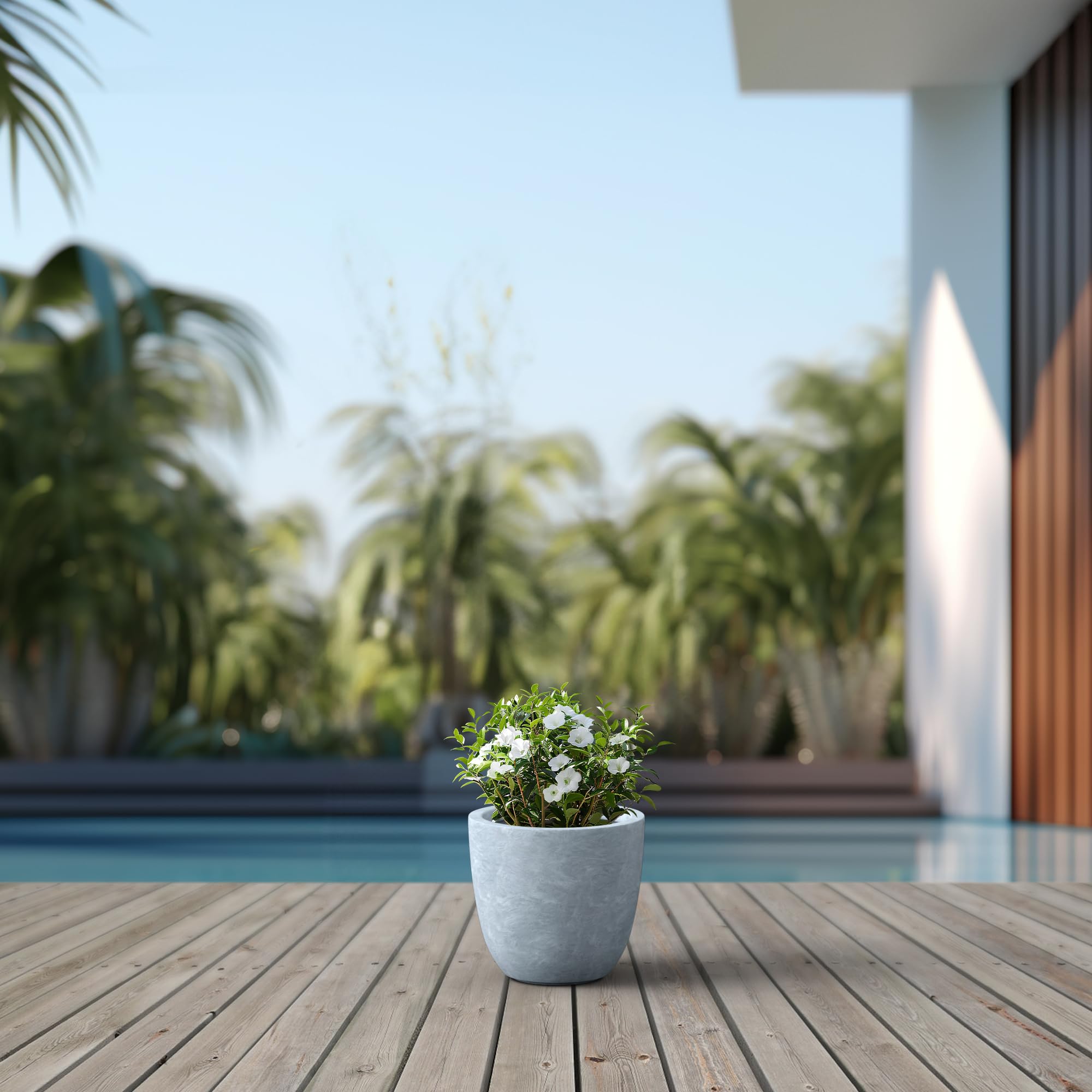 Kante Small Round Bowl Concrete Planter in garden setting