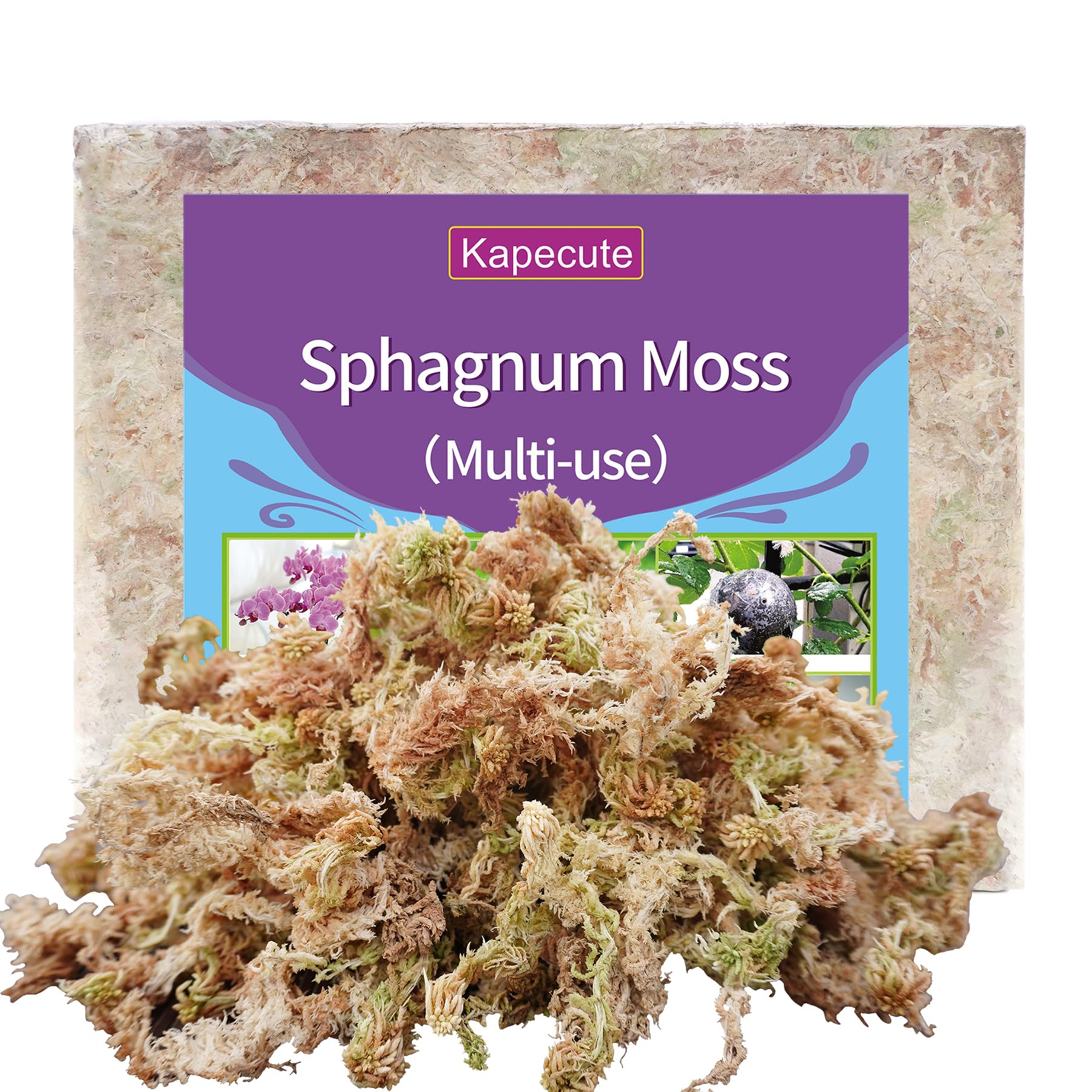 Kapecute Sphagnum Moss 1.2 lb package front view