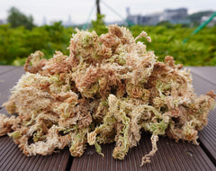 Kapecute Sphagnum Moss dry compressed bricks