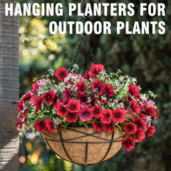 Karlliu hanging basket mounted on a balcony railing