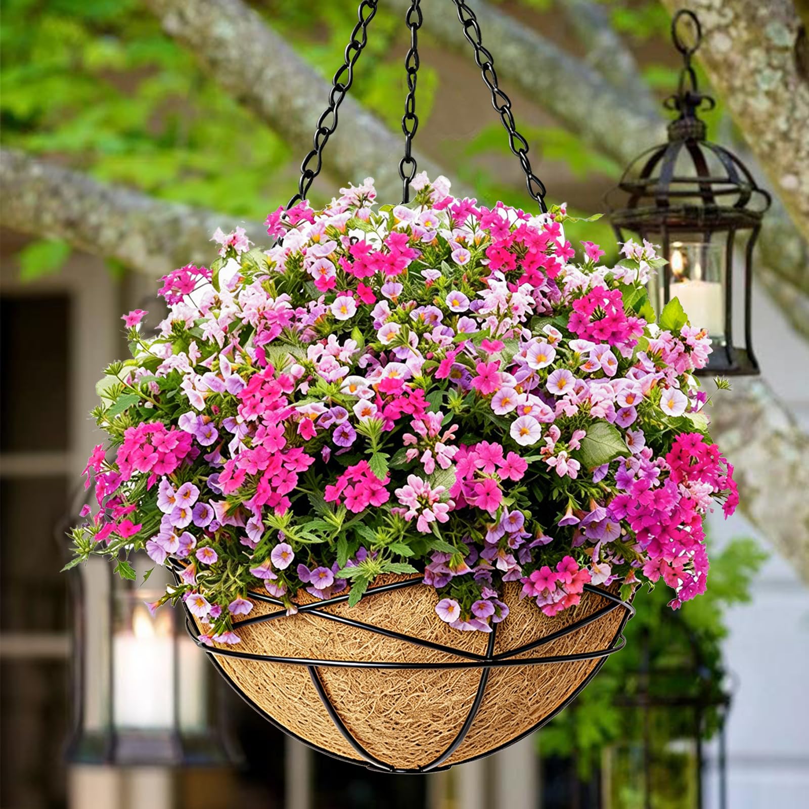 Karlliu hanging planter with black metal frame and coco liner