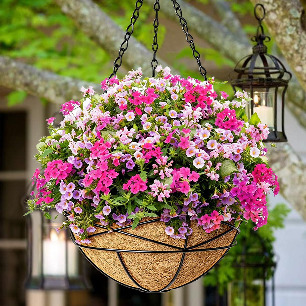 Karlliu hanging planter with black metal frame and coco liner