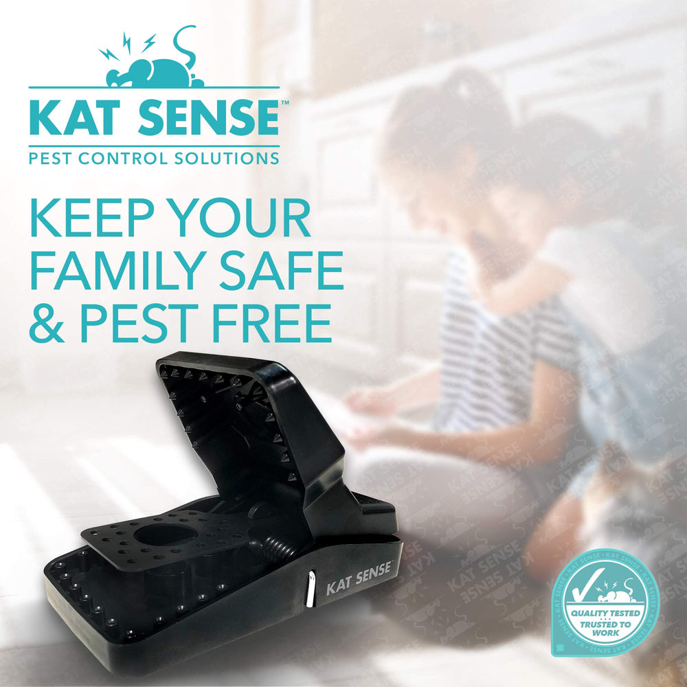 Kat Sense rat trap set in kitchen environment for rodent control