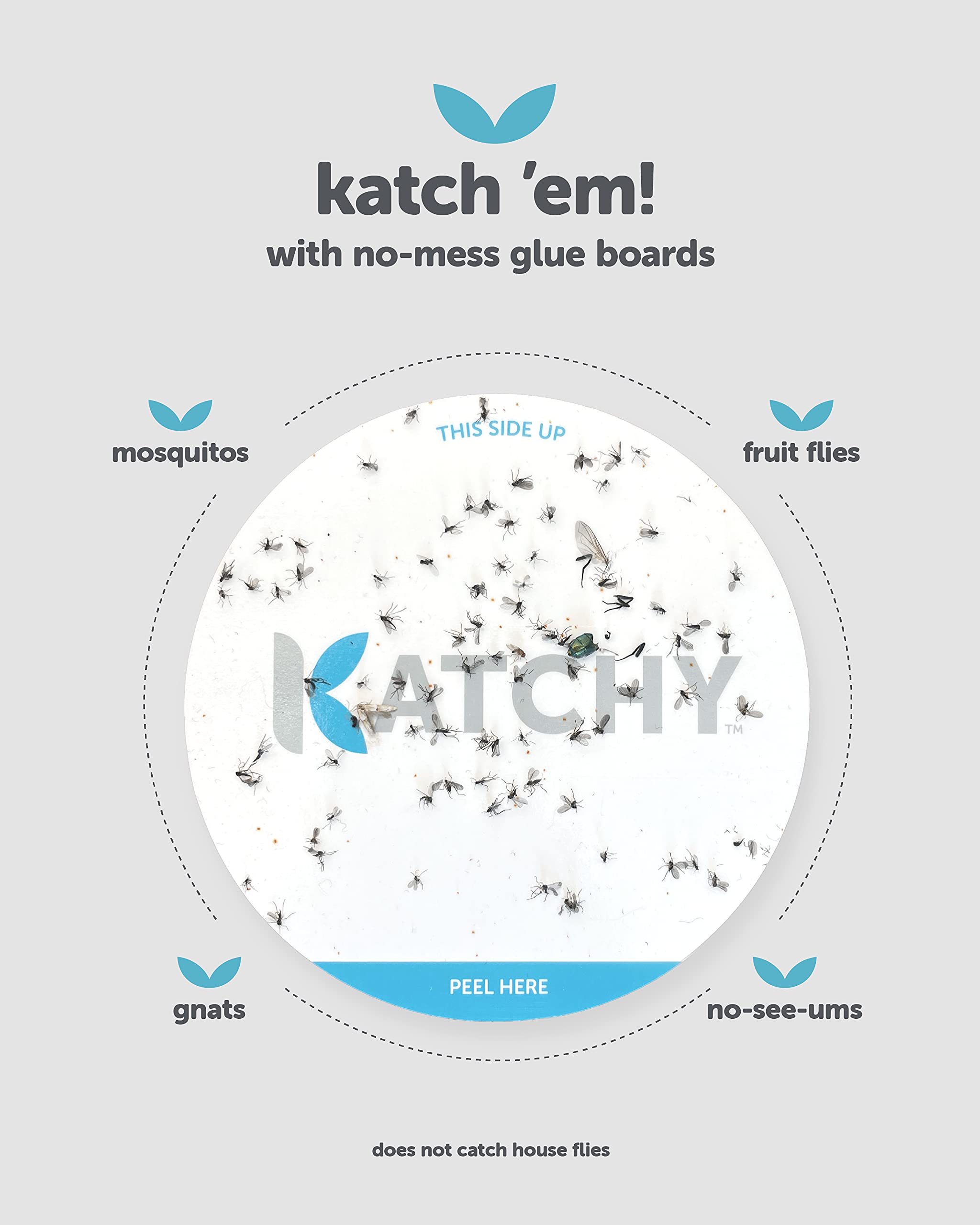 KATCHY Duo Glue Board in action inside trap