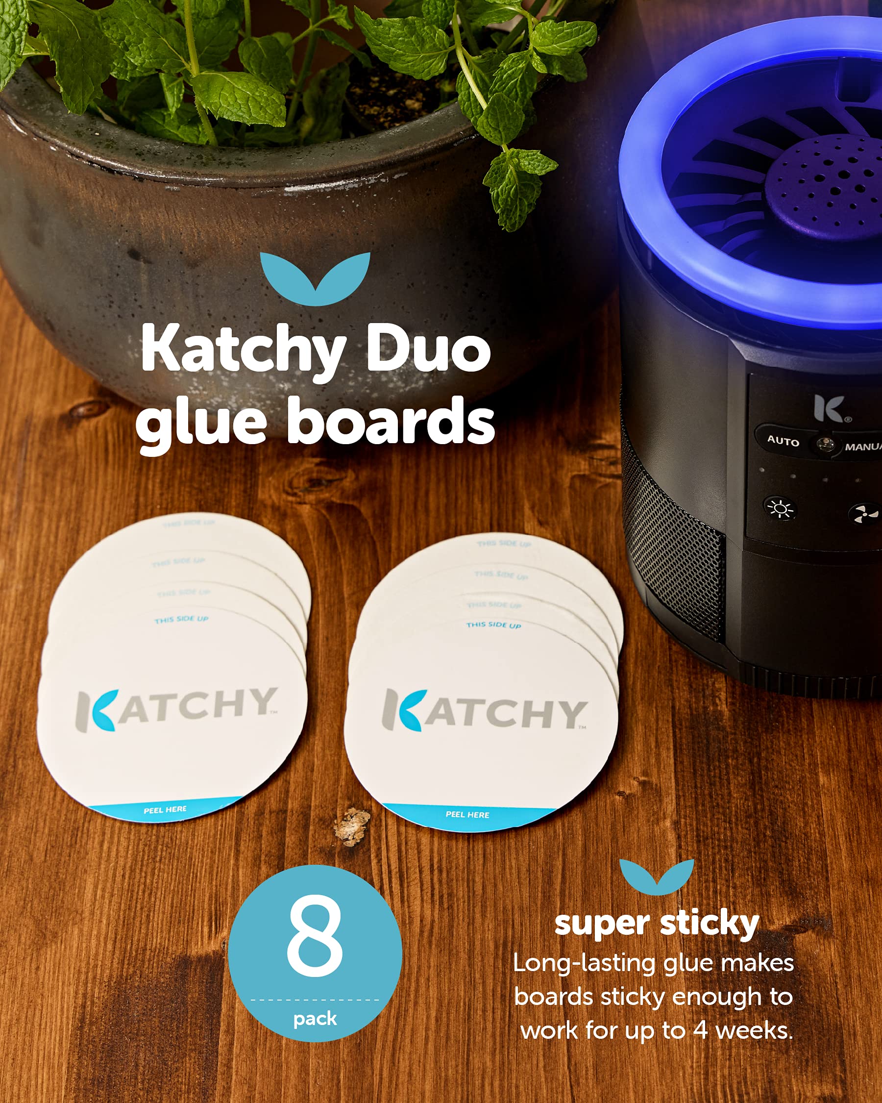 KATCHY Duo Glue Board showing super sticky surface