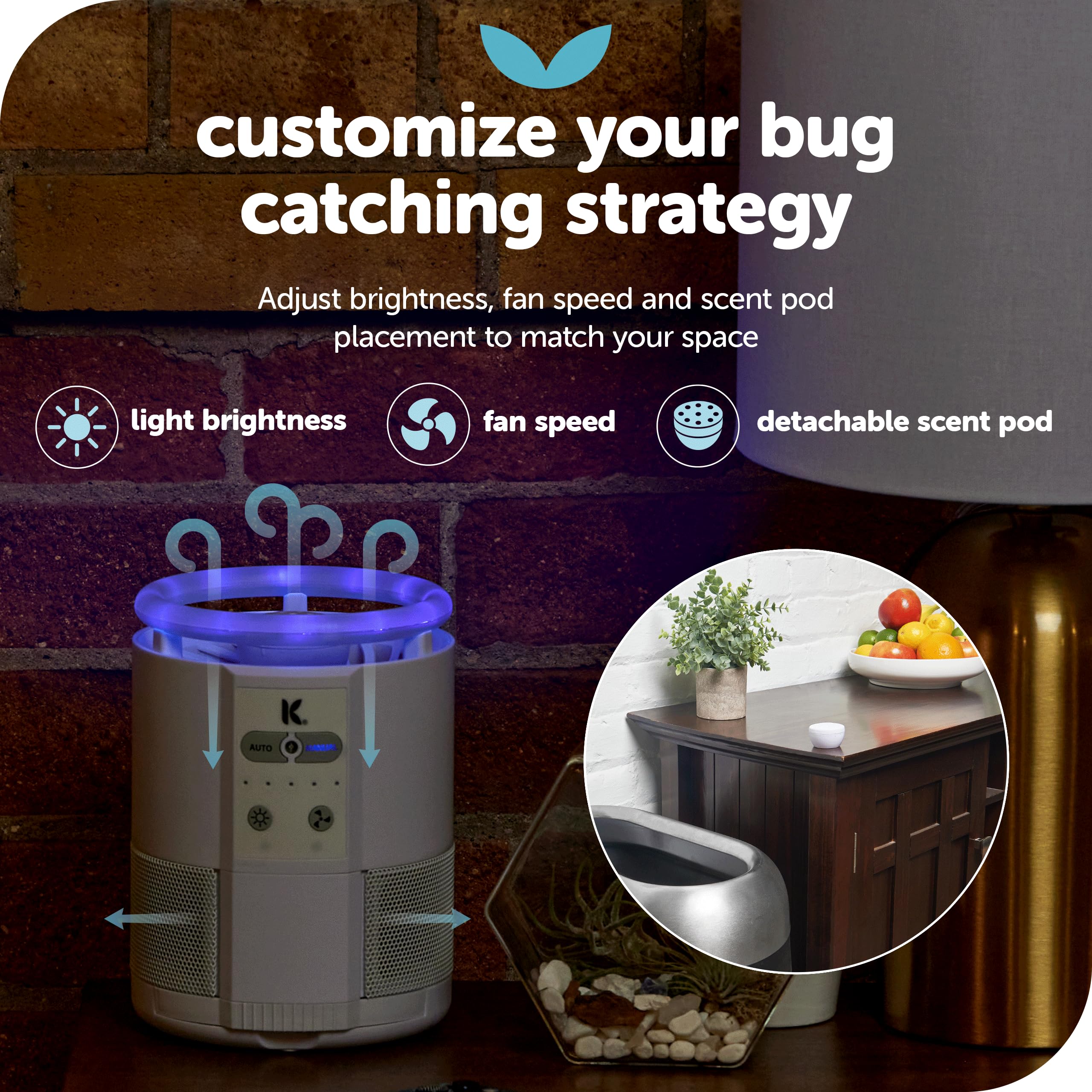 KATCHY Duo Indoor Insect Trap in kitchen setting