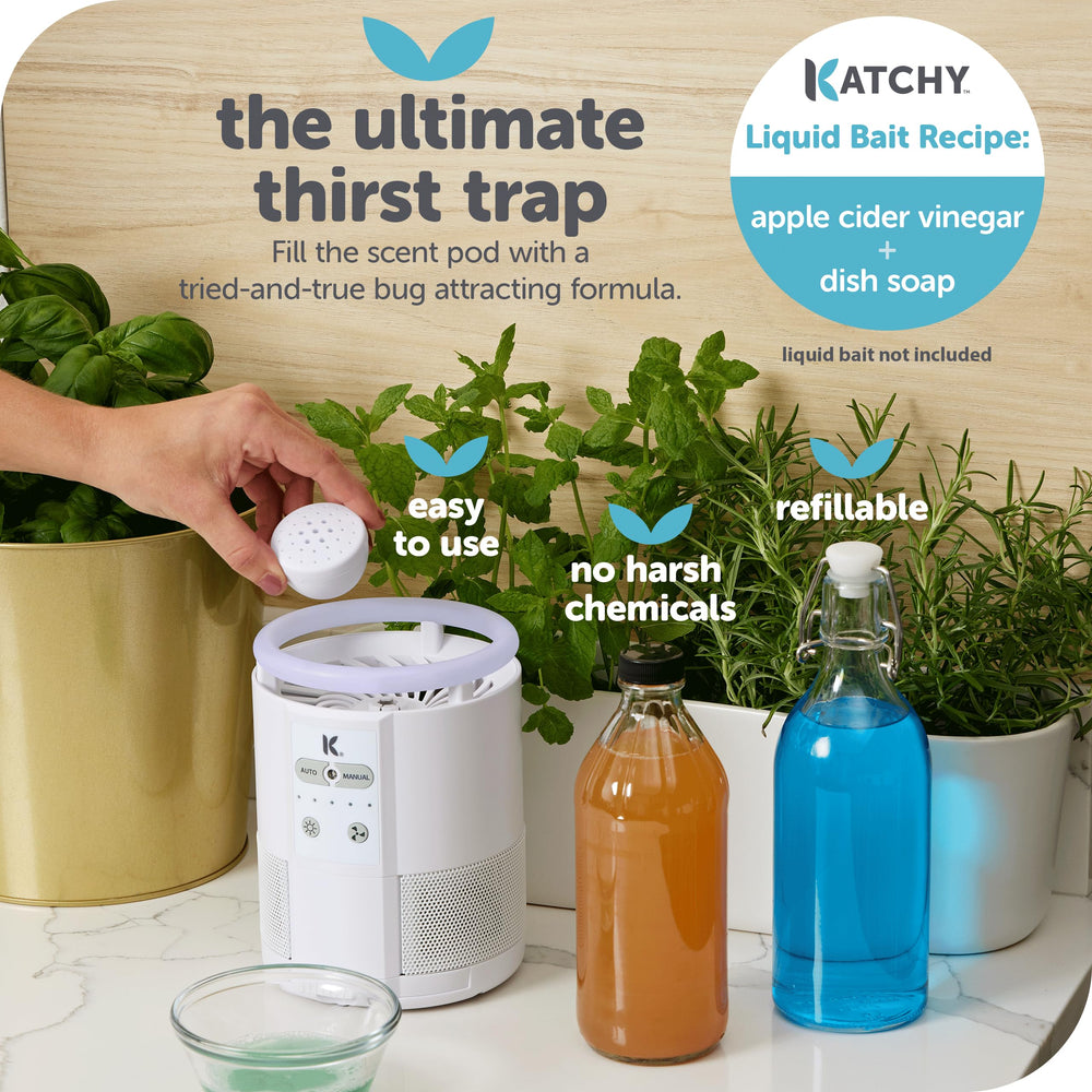 KATCHY Duo Indoor Insect Trap with scent pod
