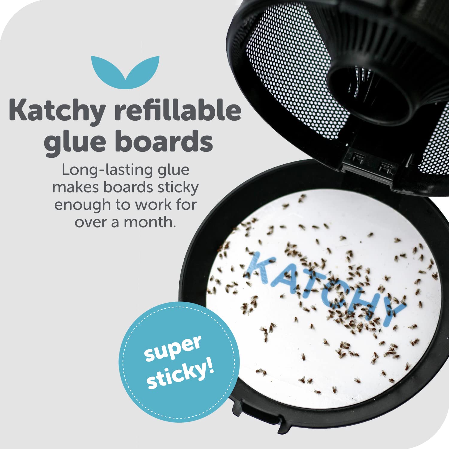 KATCHY glue board refill pack of 8 with packaging
