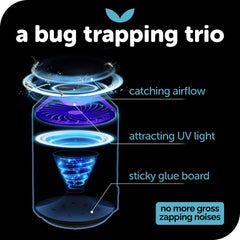 KATCHY Indoor Insect Trap with sticky glue board