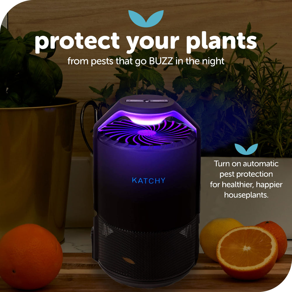 KATCHY Midnight Indoor Insect Trap in use near fruit bowl