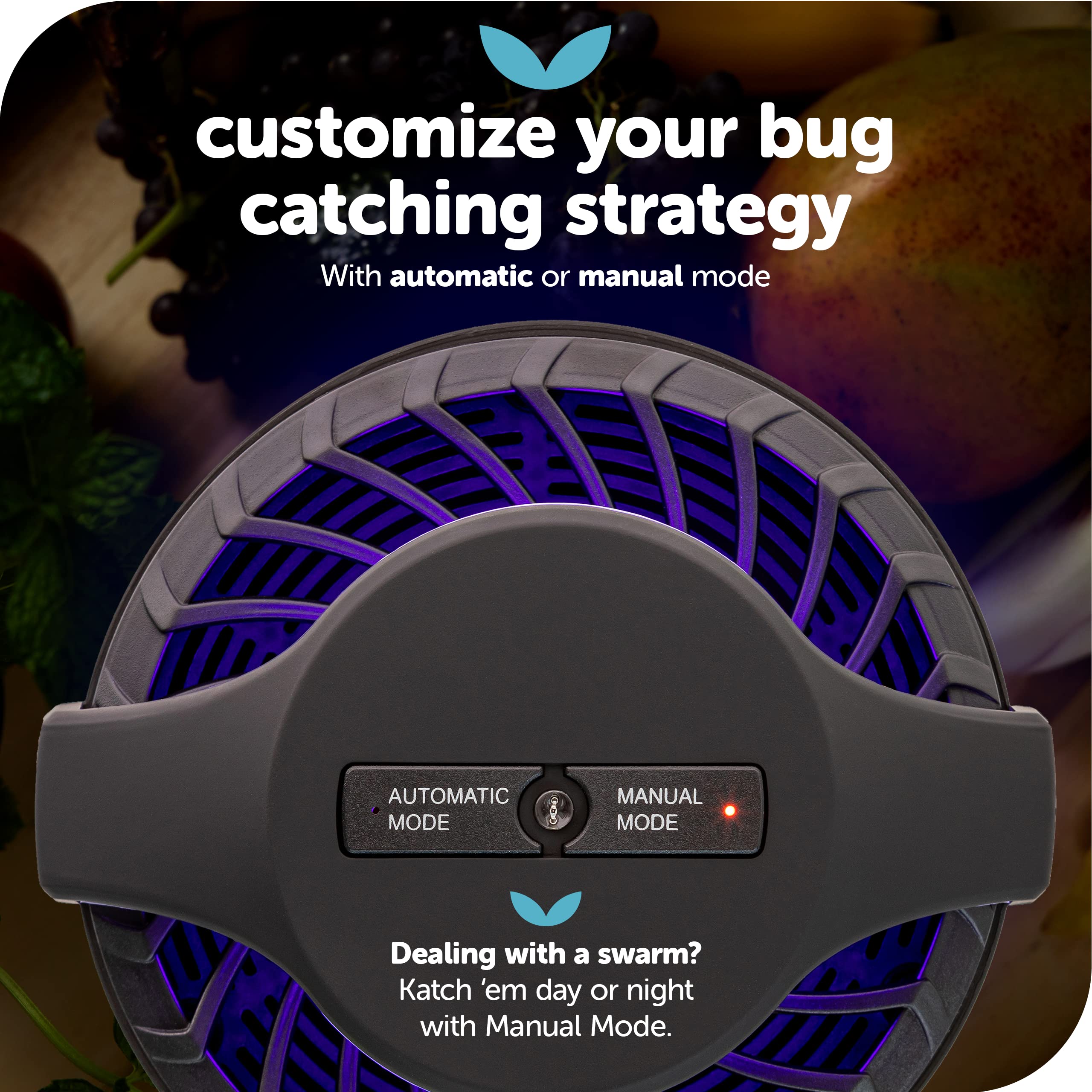 KATCHY Midnight Indoor Insect Trap with packaging
