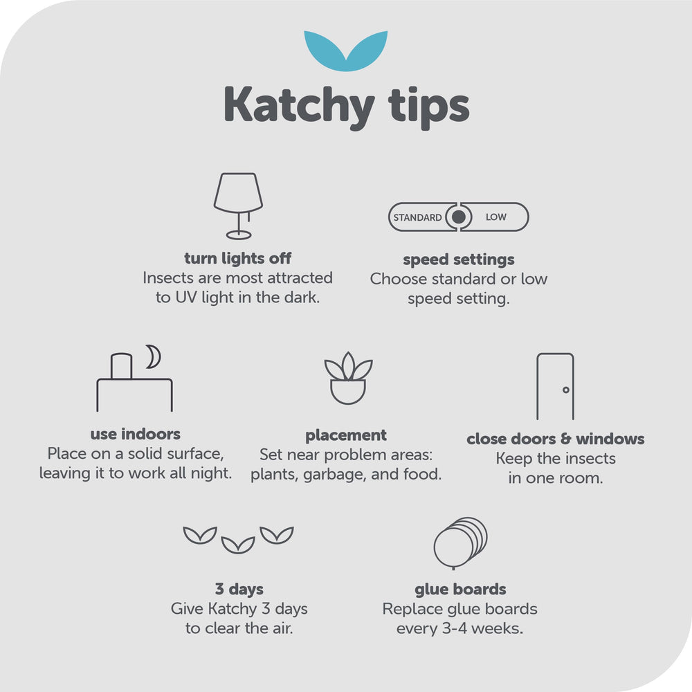KATCHY trap dimensions and specifications on box