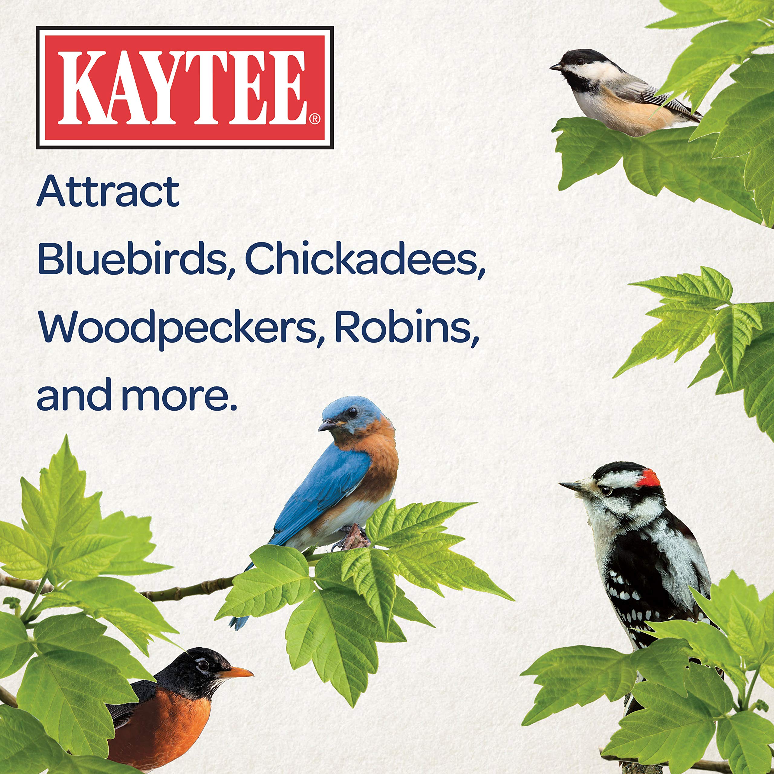 Kaytee Bird Seed Cake with bluebirds in the background