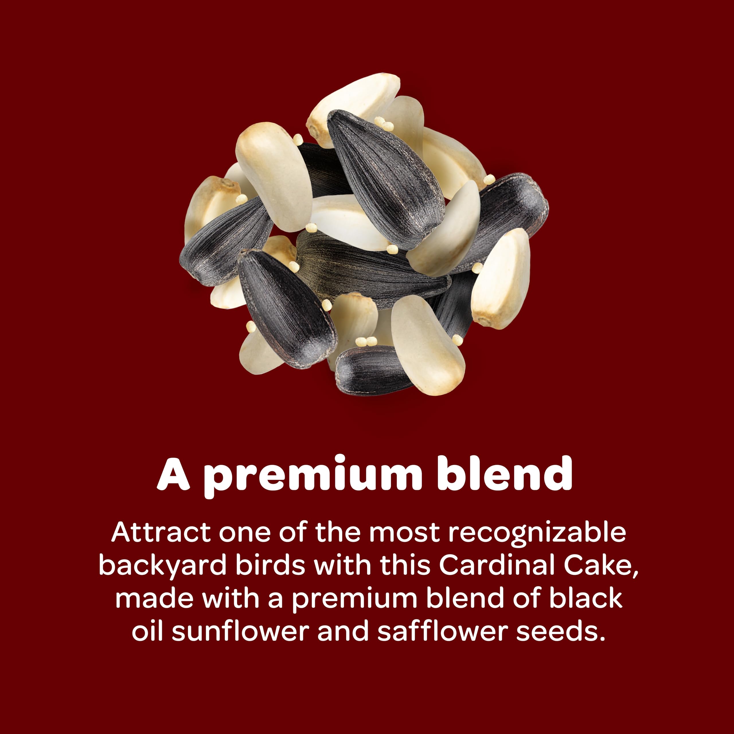 Kaytee Cardinal Seed Cake in a bird feeder