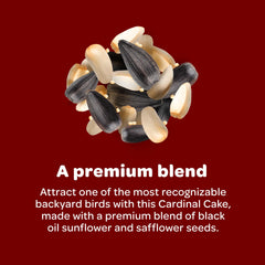 Kaytee Cardinal Seed Cake in a bird feeder
