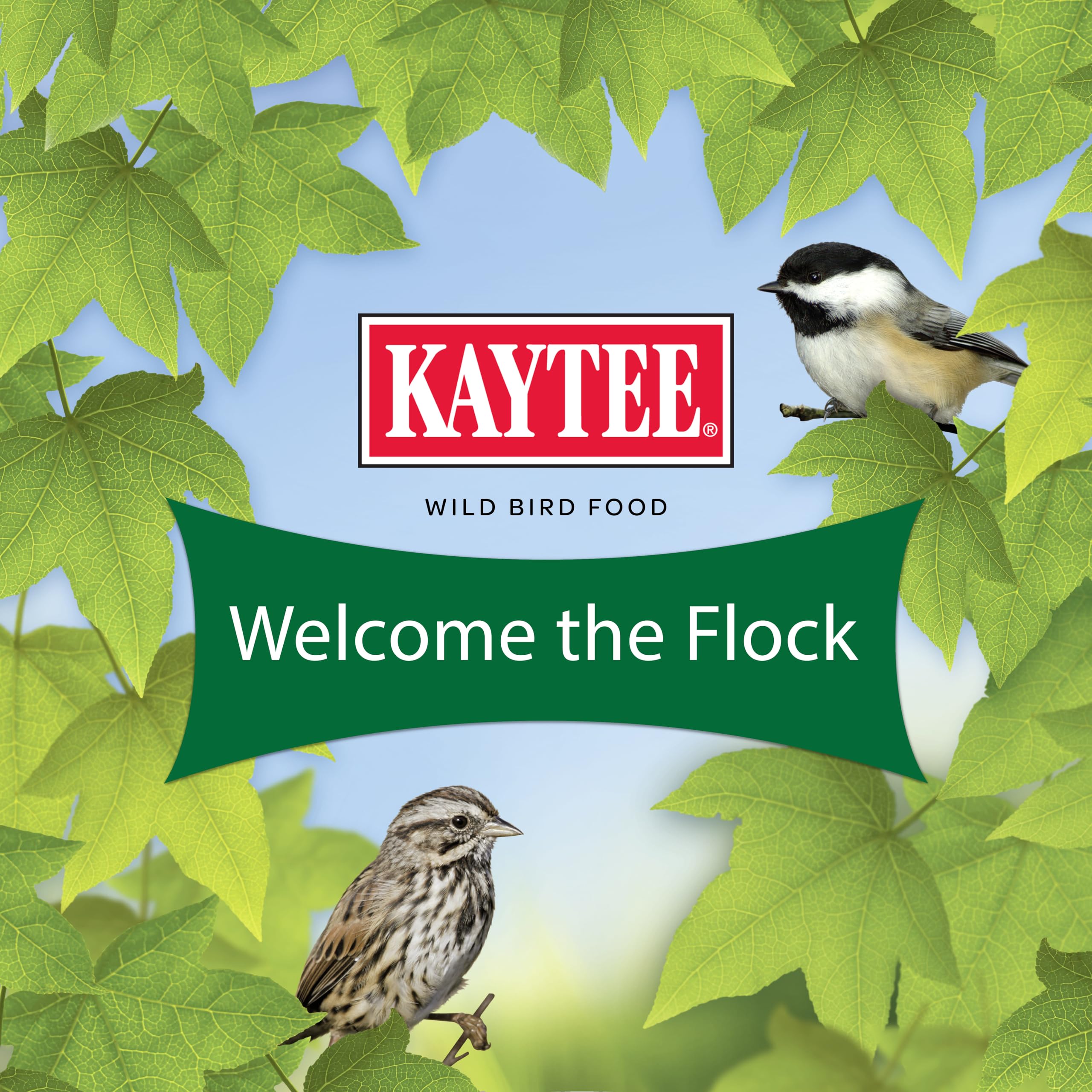 Kaytee Essentials Blend bird seed mix outdoors in a garden