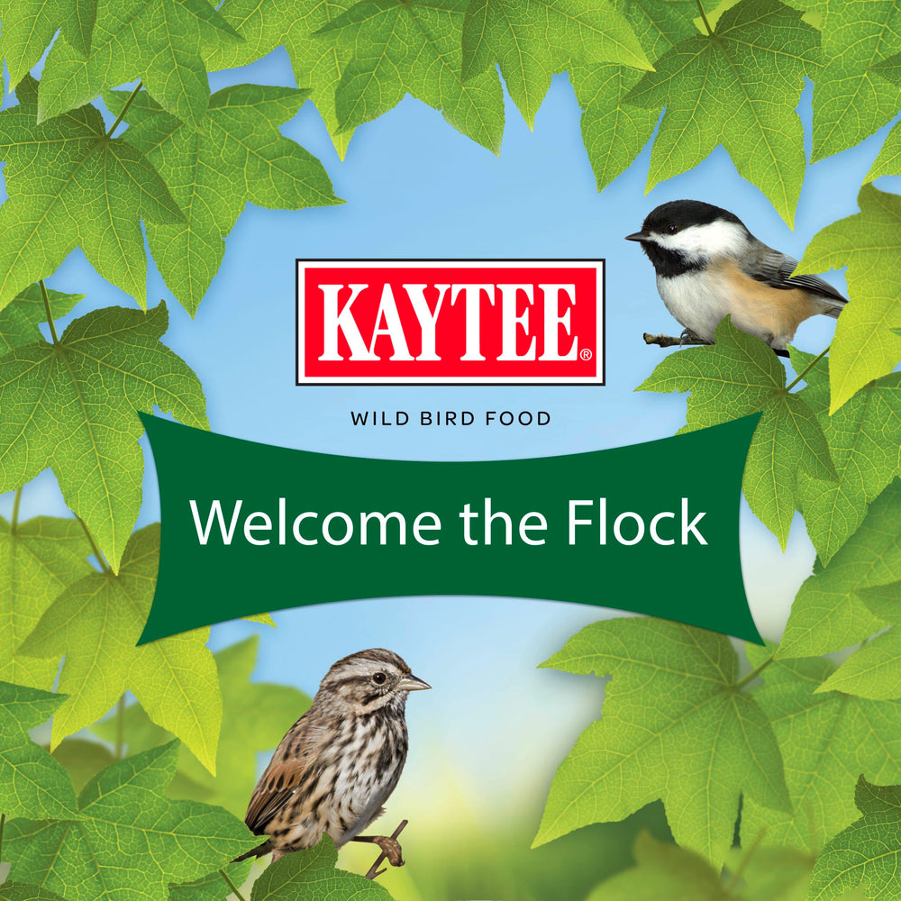 Kaytee Essentials Blend bird seed mix outdoors in a garden