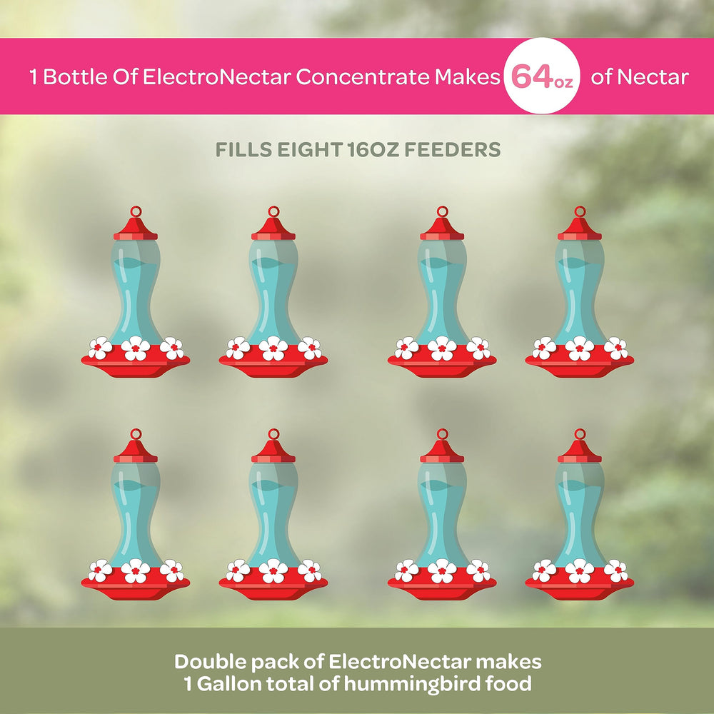 Kaytee Hummingbird ElectroNectar 2 pack with clear nectar