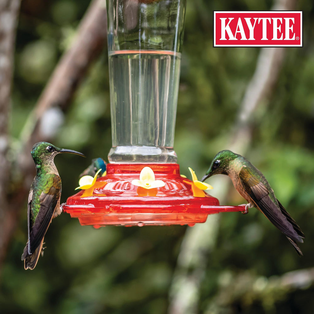 Kaytee Hummingbird ElectroNectar liquid texture