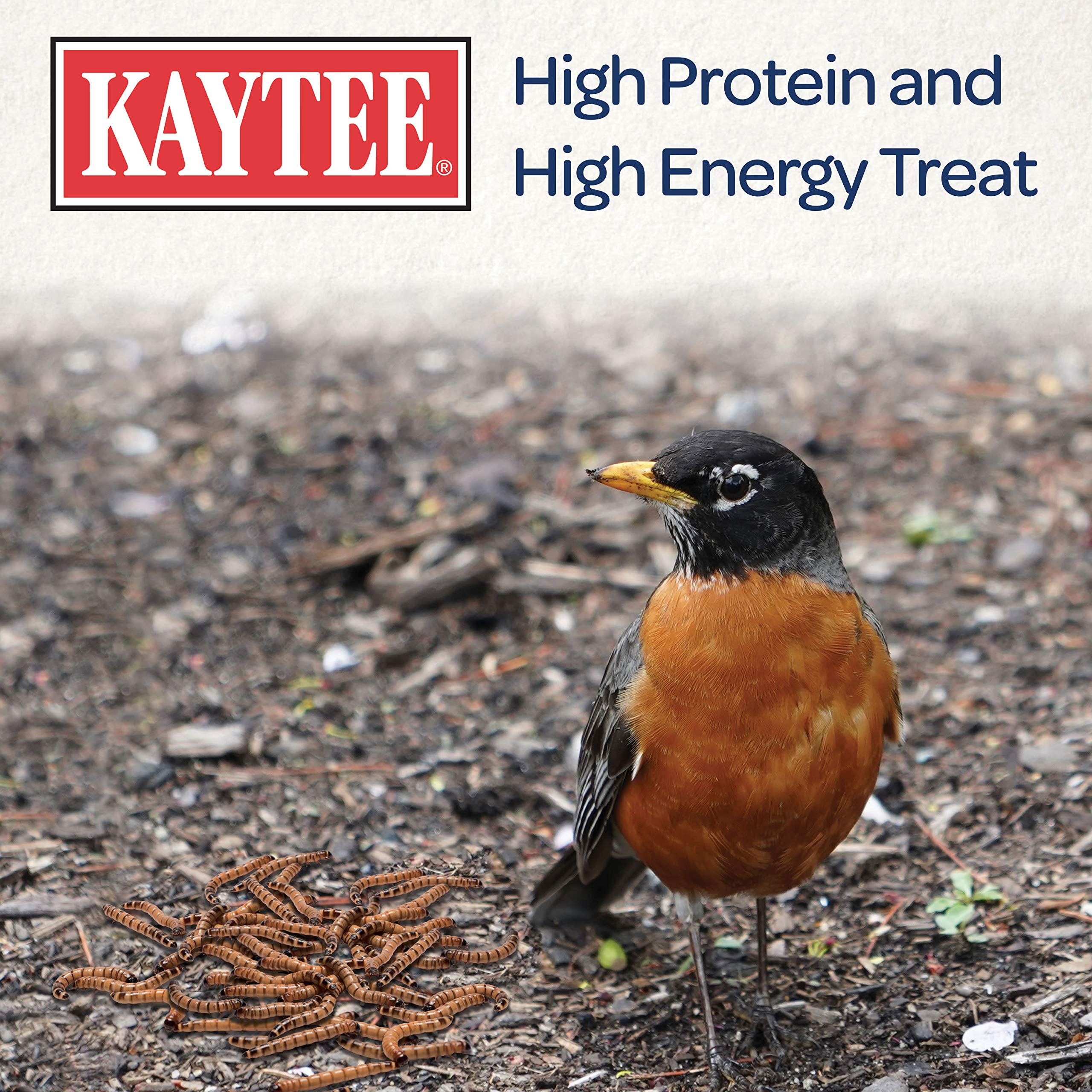 Kaytee Mealworms being mixed with birdseed