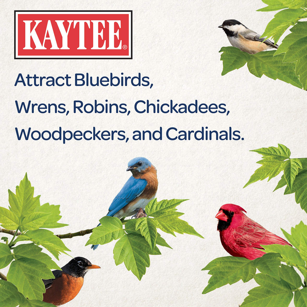 Kaytee Mealworms displayed with assorted bird seeds