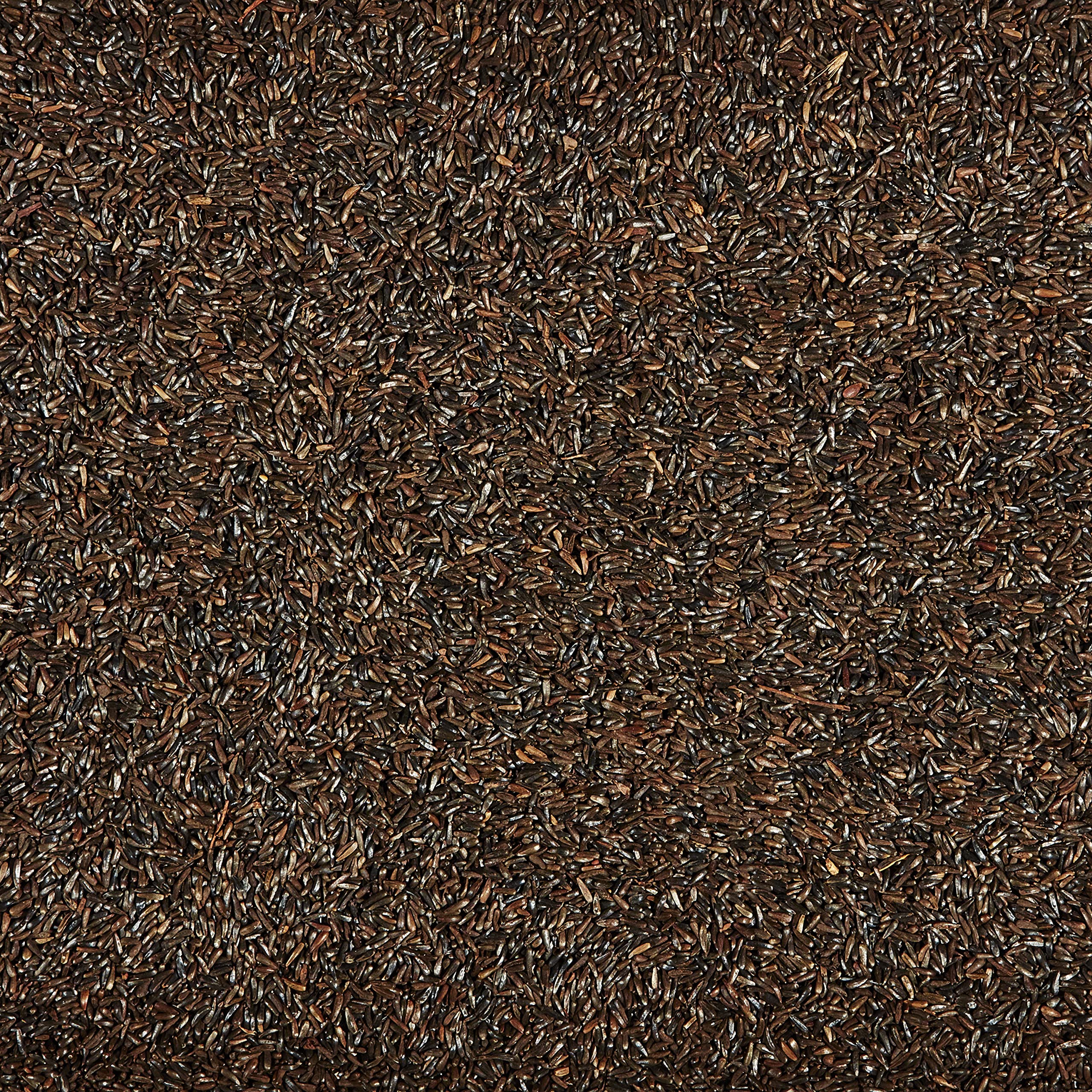 Kaytee Nyjer Seed 3 Pound pack side view
