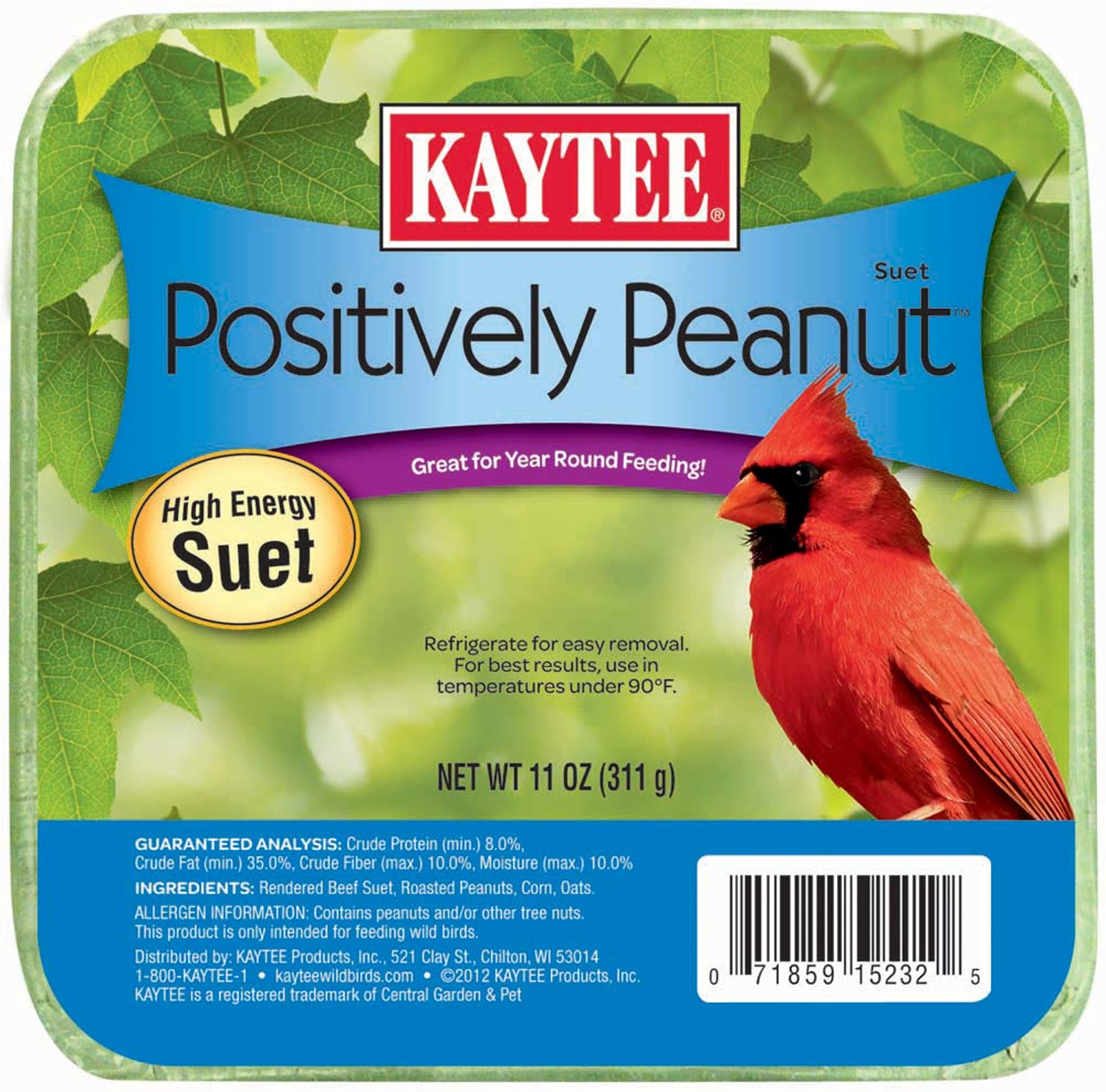Kaytee Positively Peanut High Energy Suet 11 ounces front view