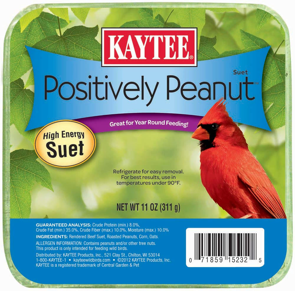 Kaytee Positively Peanut High Energy Suet 11 ounces front view