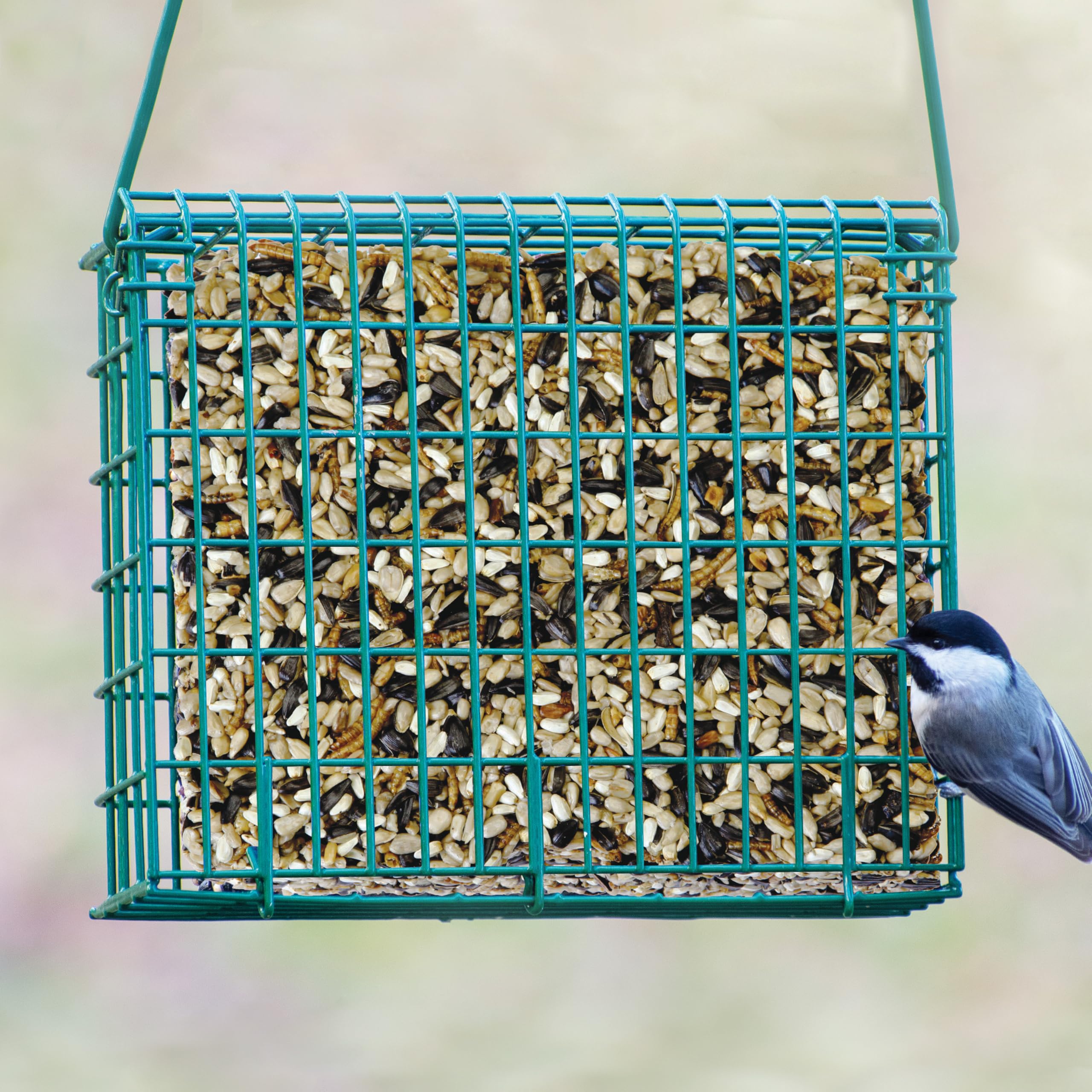 Kaytee Seed Cake in a bird feeder
