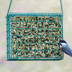Kaytee Seed Cake in a bird feeder