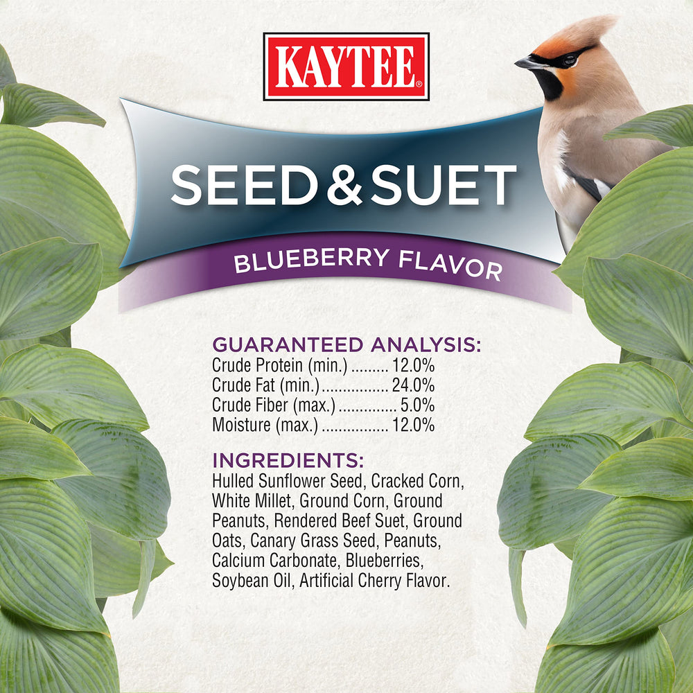 Kaytee Seed & Suet No Mess Blend 10 lbs showing clean feeding experience