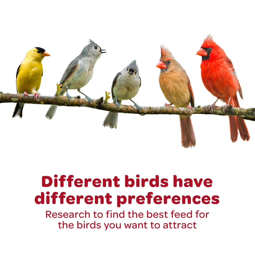 Kaytee Southern Regional Wild Bird Blend packaging details