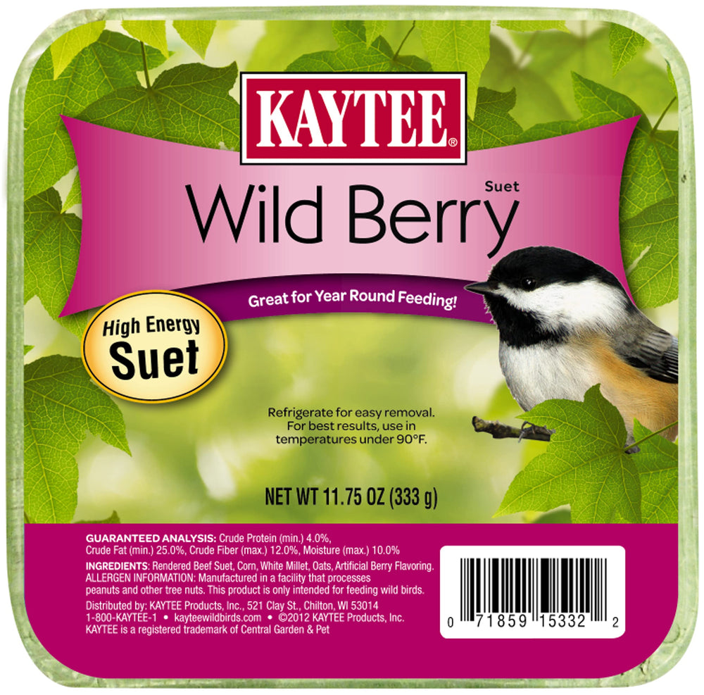 Kaytee Wild Berry Mini Suet 11.75 oz front view