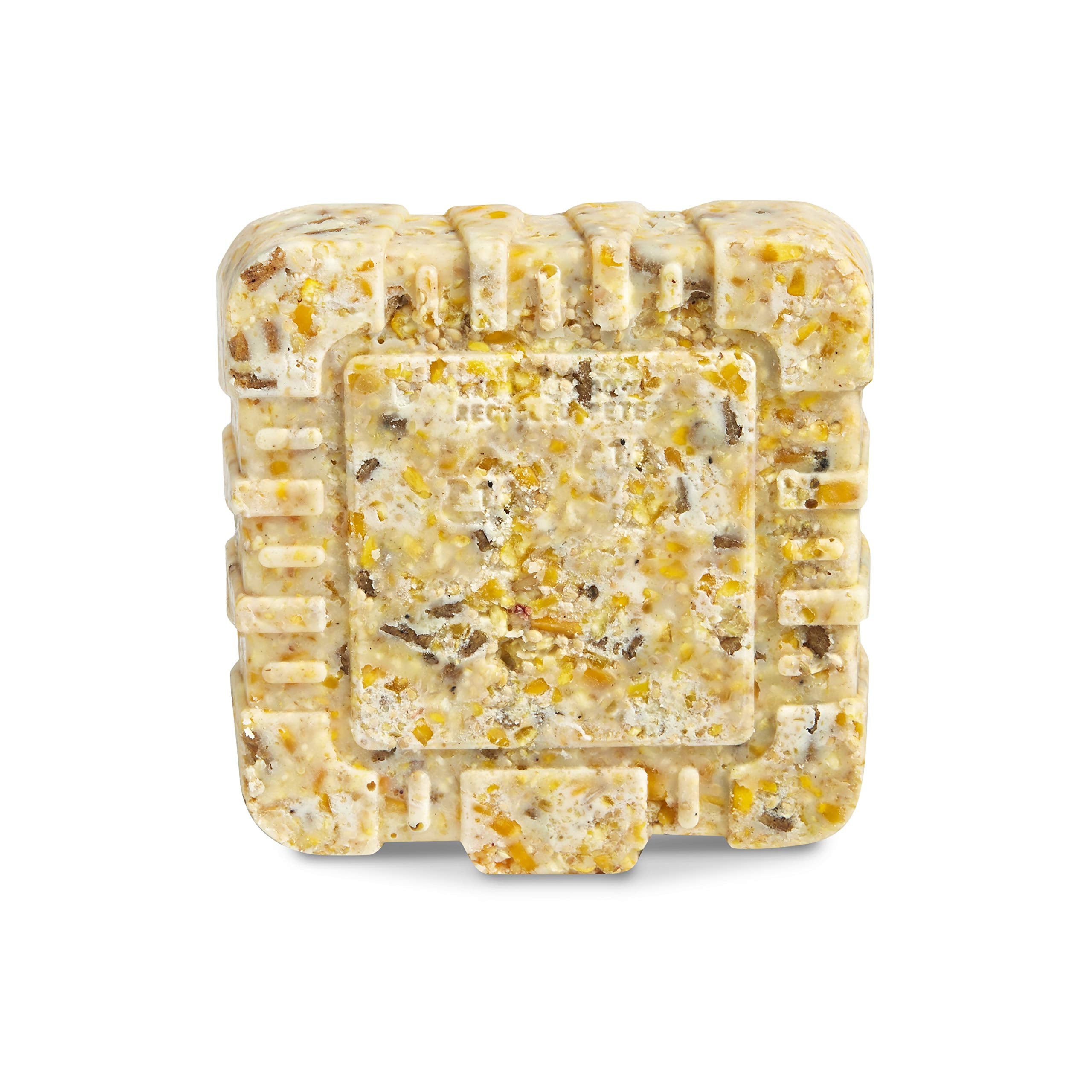 Kaytee Wild Berry Mini Suet package back view