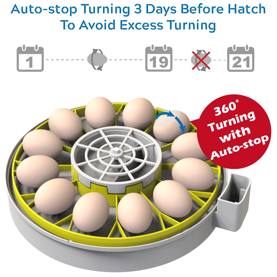 KEBONNIXS 12 Egg Incubator dimensions on a table
