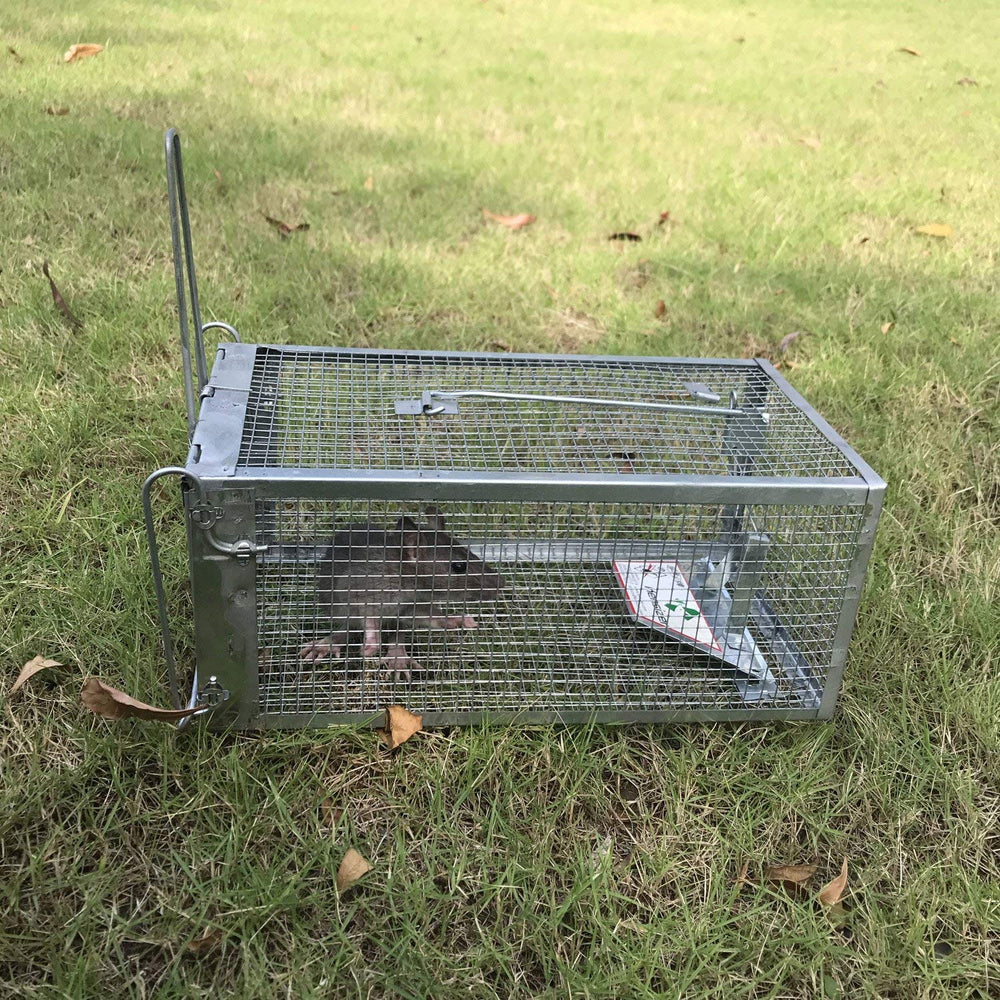 Kensizer humane live cage trap in garden setting
