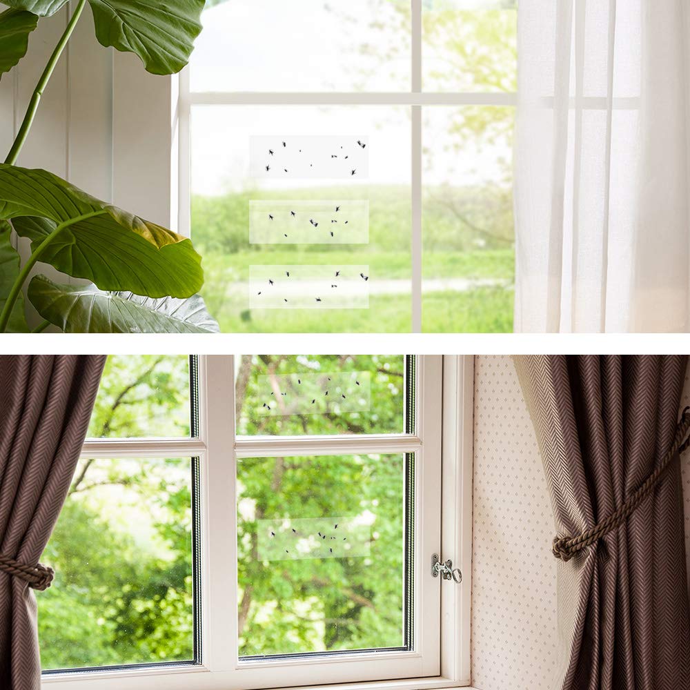 Kensizer Window Fly Trap product features highlighted