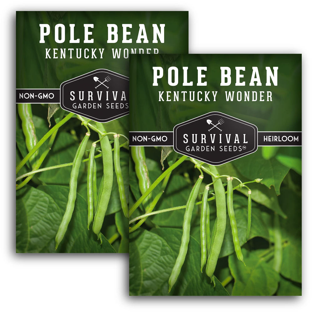Kentucky Wonder Pole Bean Seeds pack front view