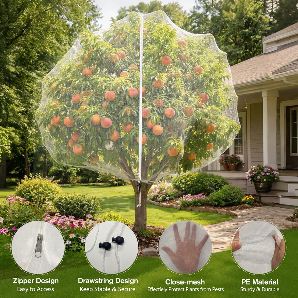 KEOHOLI fruit tree netting installation on an apple tree