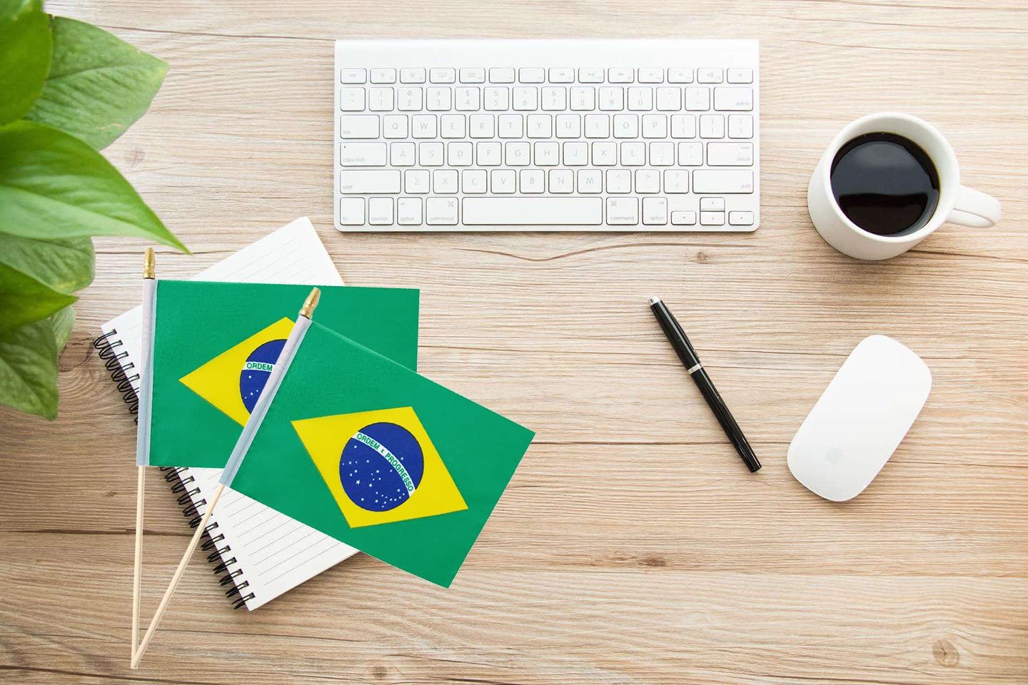 Kid-safe rounded spear tip on Ckexin Mini Brazilian Flag