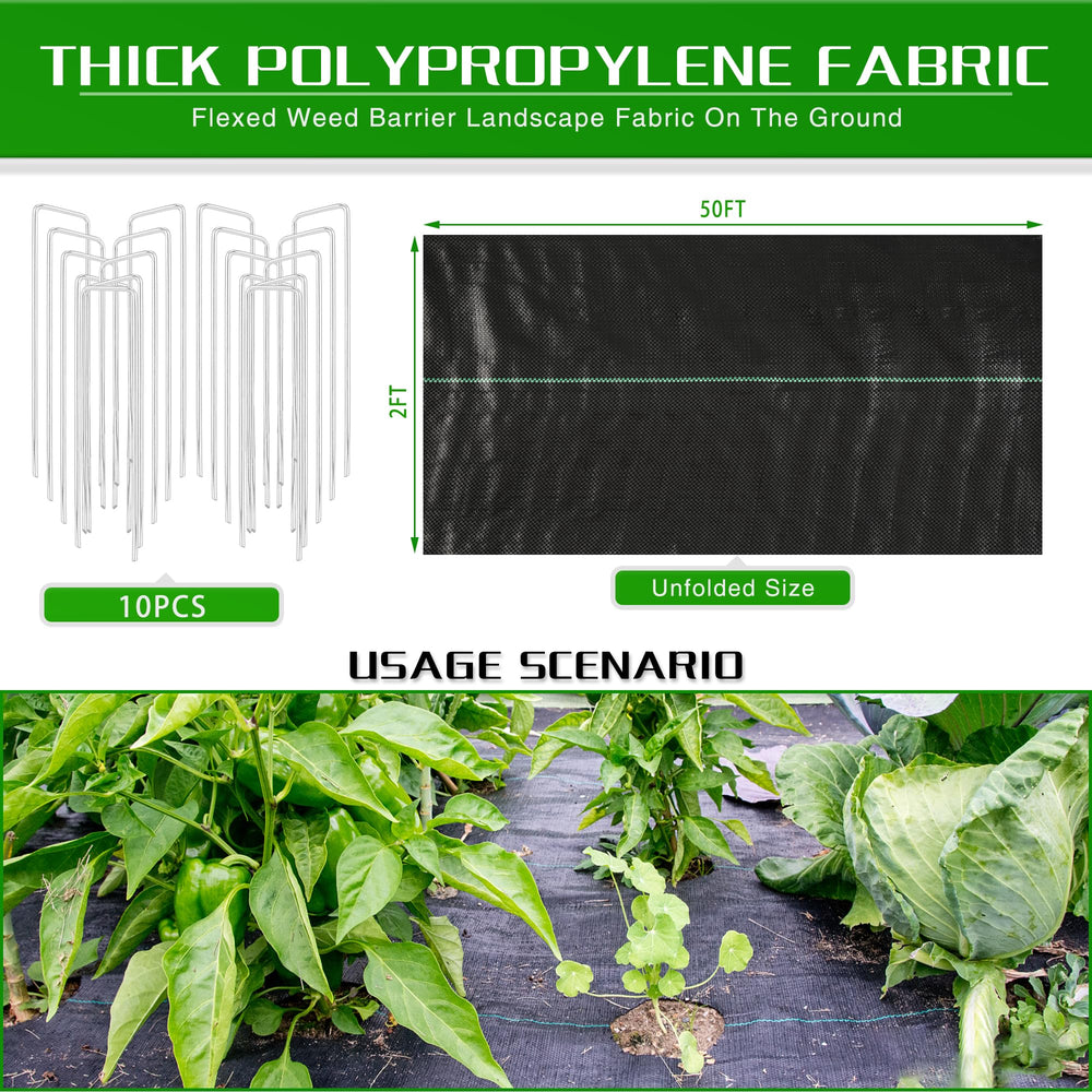 Kijamilee Weed Barrier Fabric protecting a vegetable garden