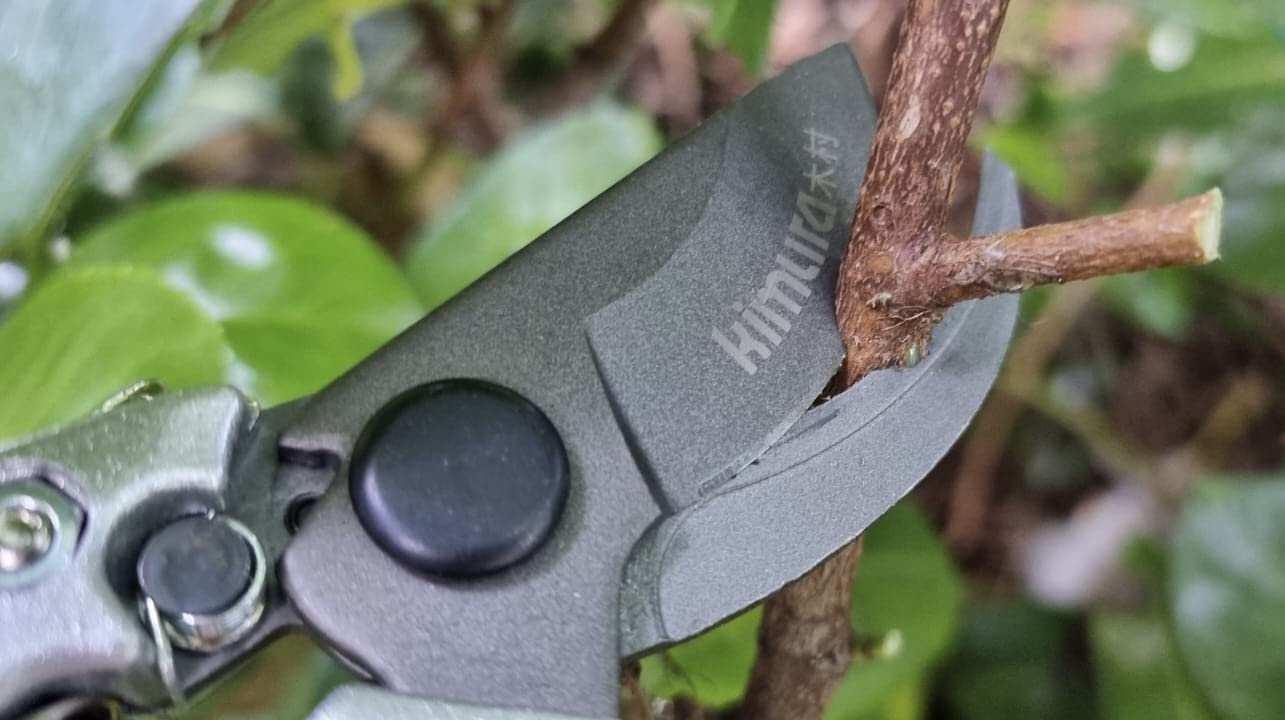 Kimura pruning shears displayed with gardening tools
