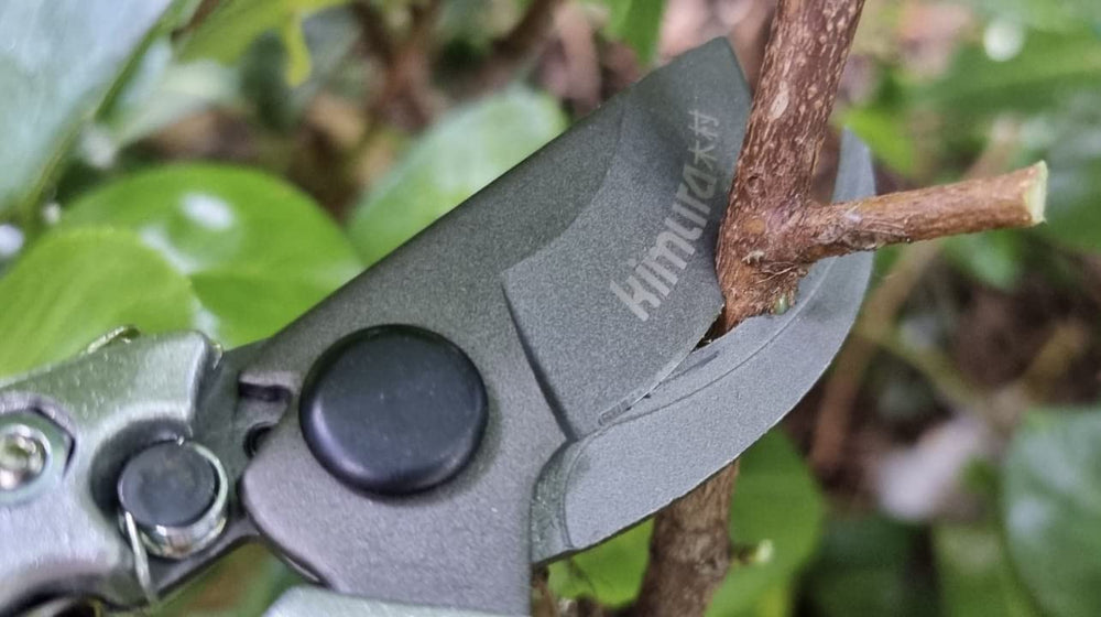 Kimura pruning shears displayed with gardening tools