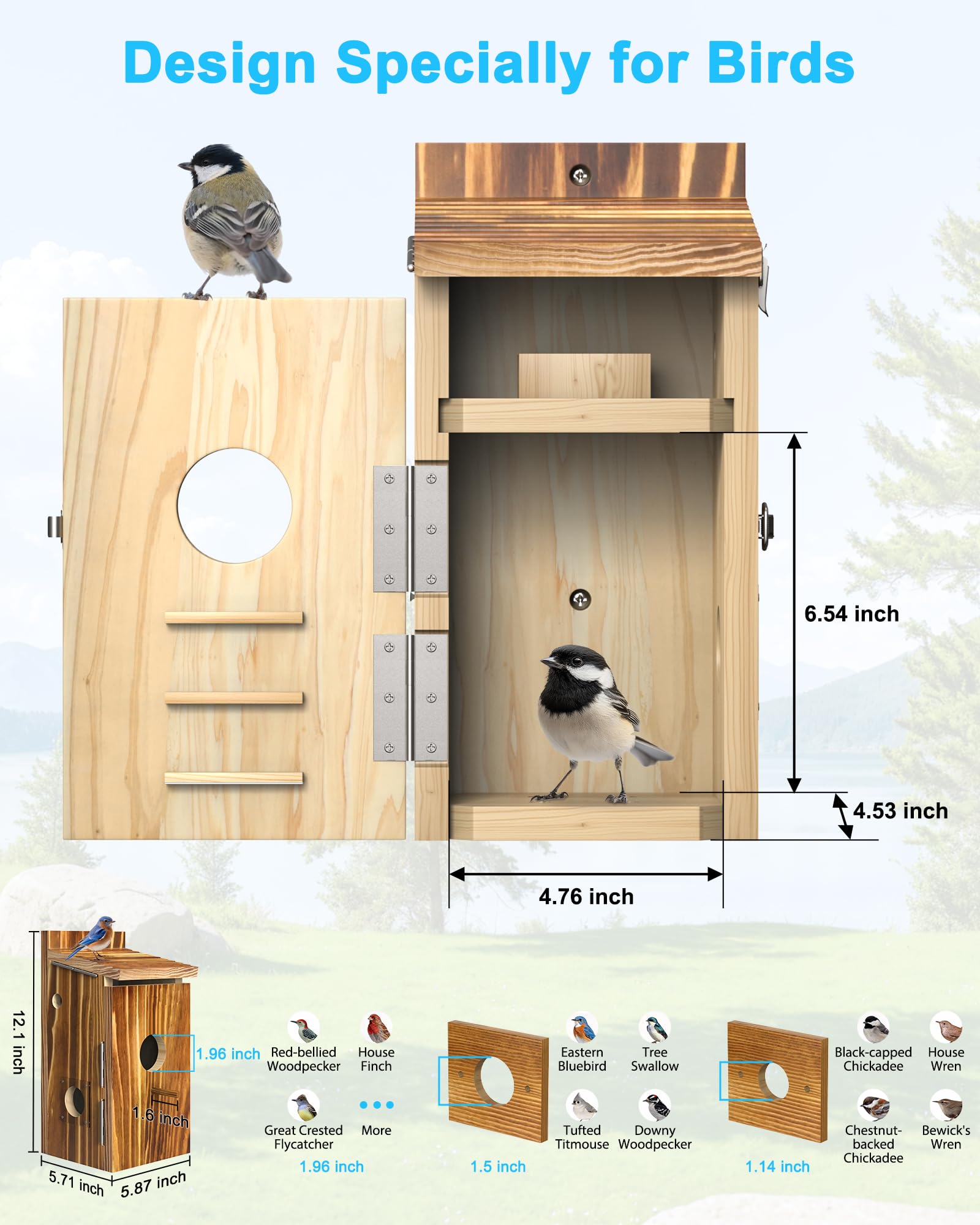 KinetCam Bird House packaging display