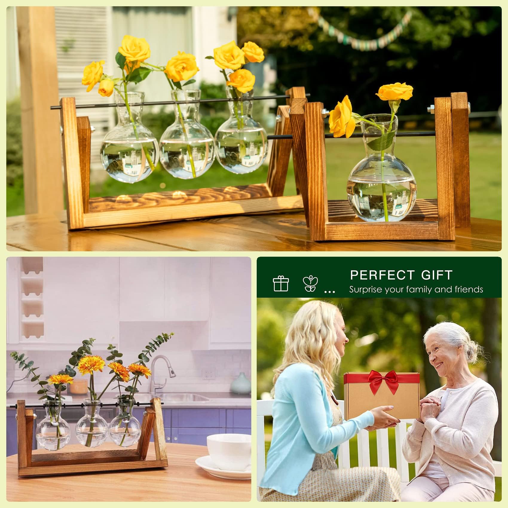 Kingbuy Plant Propagation Station with plant cuttings inside