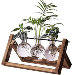 Kingbuy Plant Propagation Station with wooden stand and three glass bulb vases
