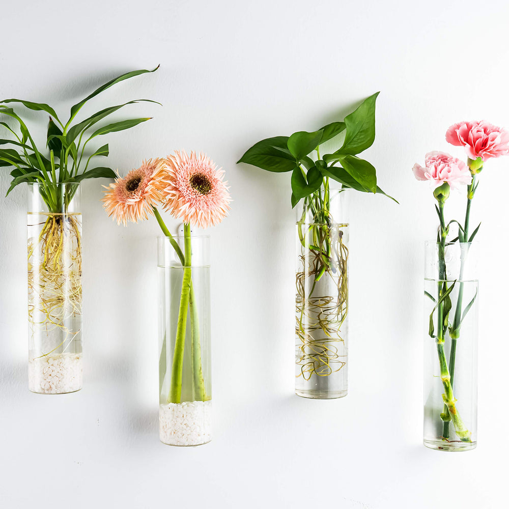 Kingbuy propagation station with air plants and flowers